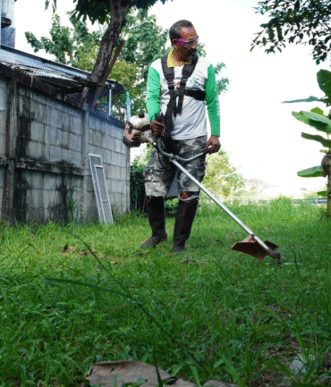 Diseño sin título - 2026-01-02T183011.017